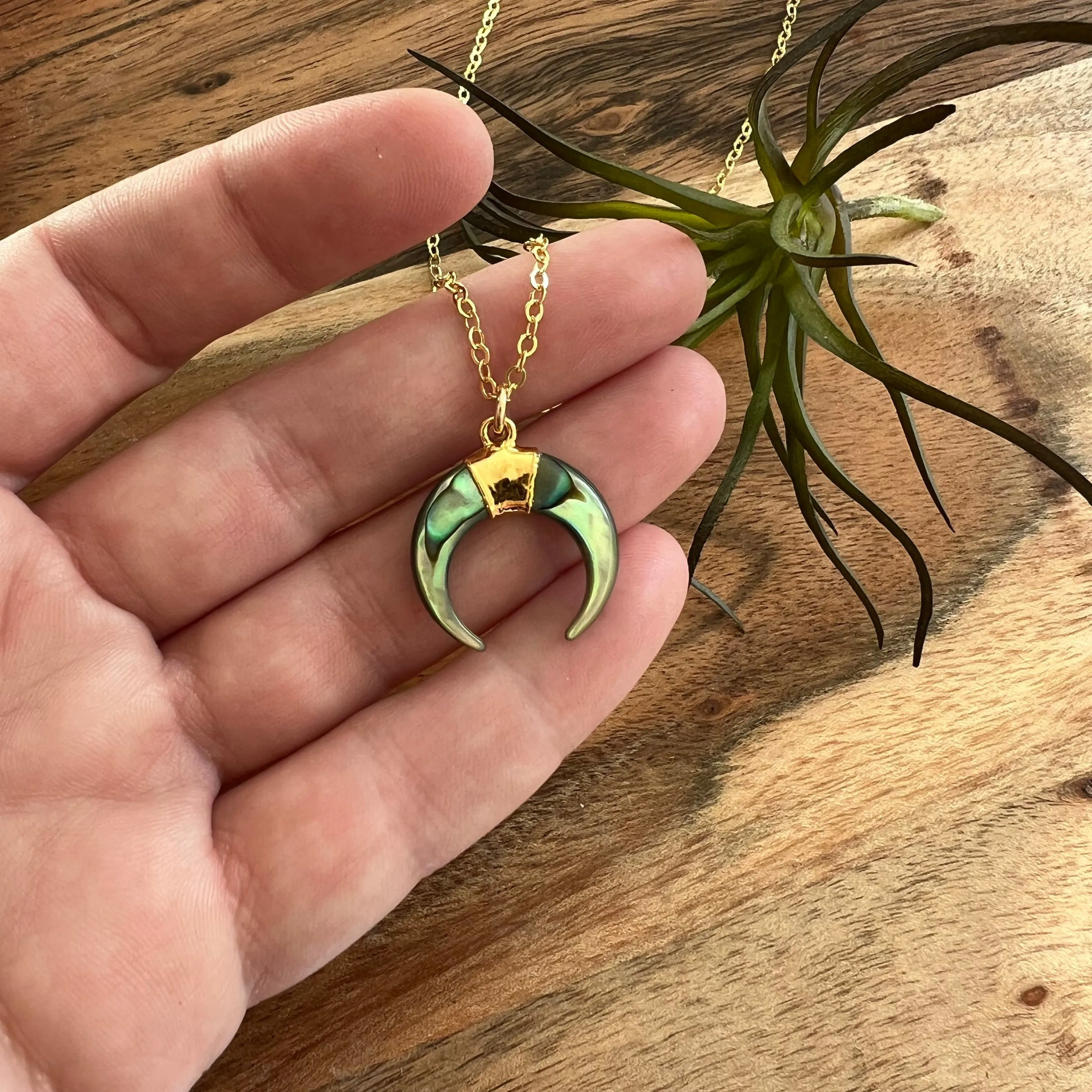 1752 - Abalone Crescent Necklace