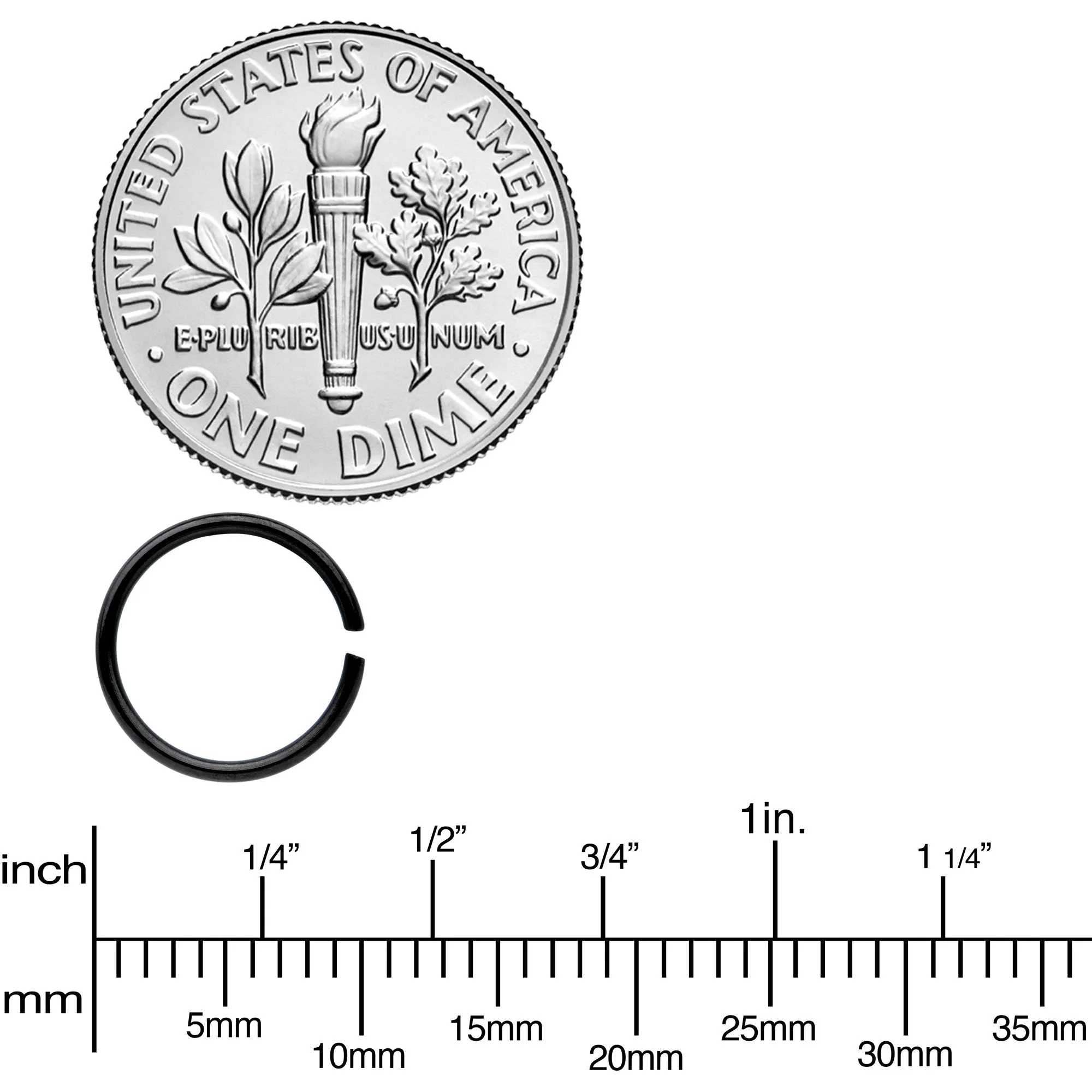 20 Gauge 5/16 Black Anodized Seamless Circular Ring Set of 12