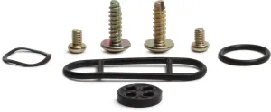 ALL BALLS 60-1226 Petcock Repair Kit