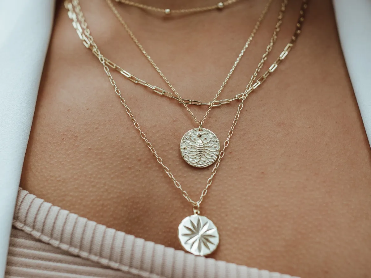 Aquarius Zodiac Coin Necklace