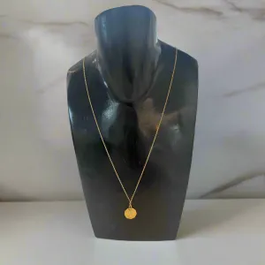 Bling Bar Vero Coin Charm Necklace