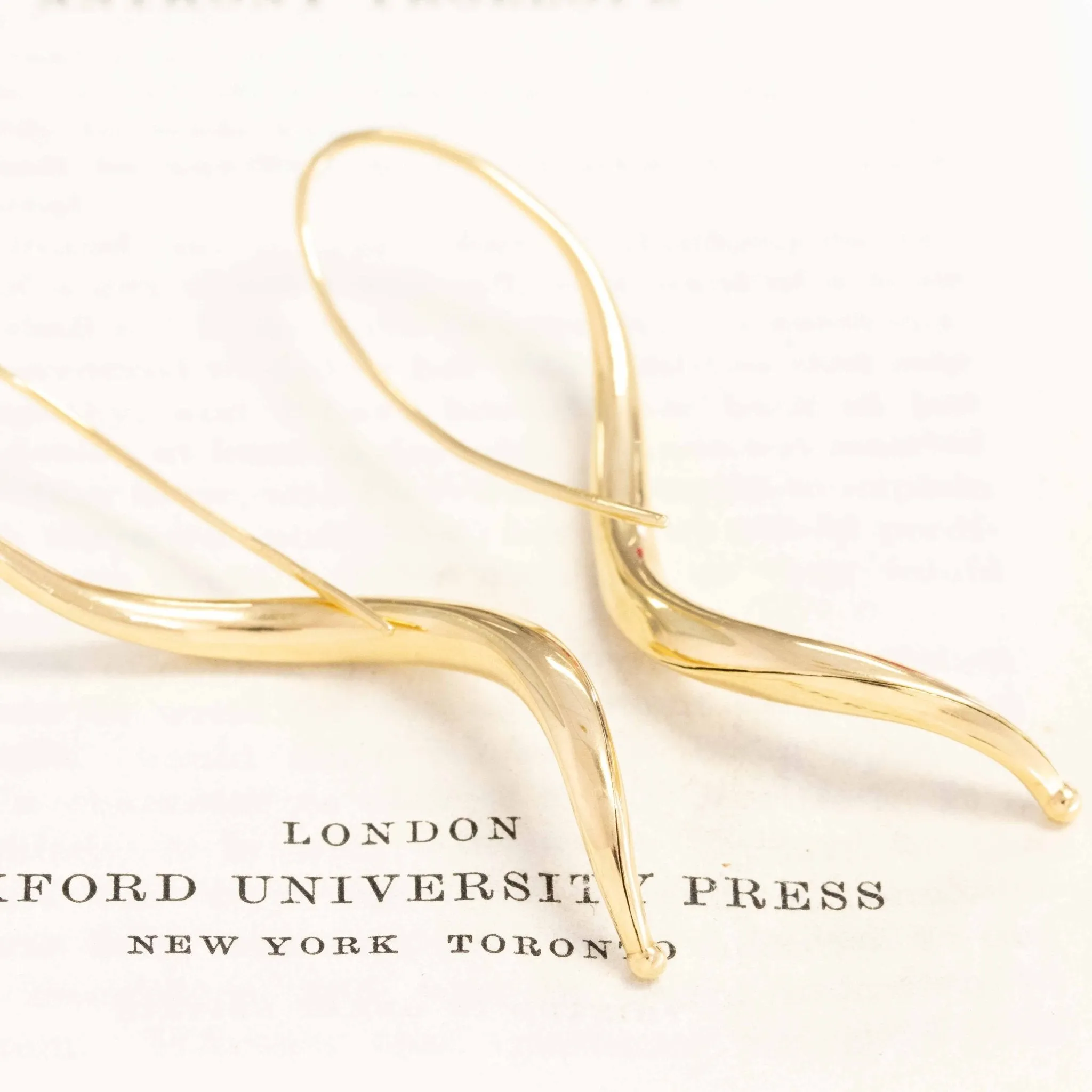 Freeform Long Drop Earrings by Michael Good