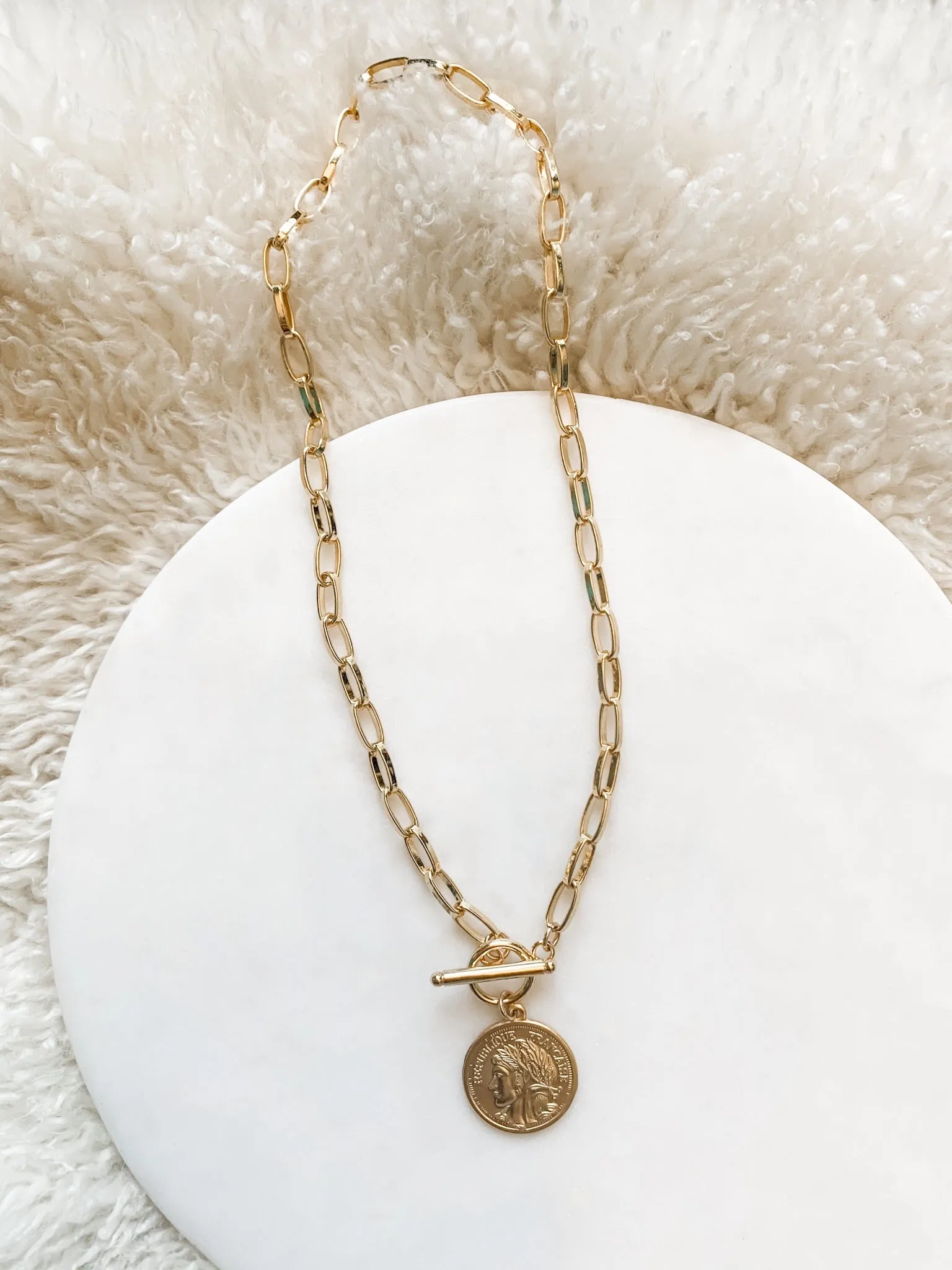 Gold Filled French Coin Necklace