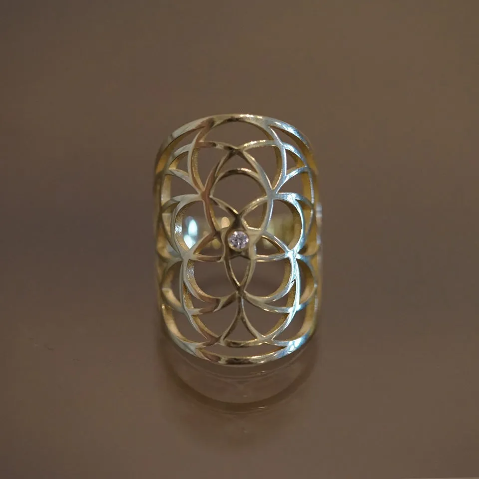 Guardian Shield Ring