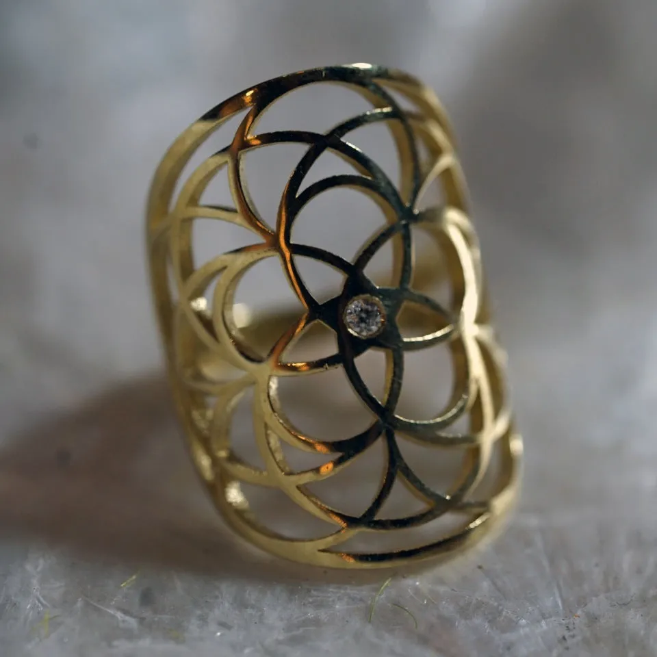 Guardian Shield Ring