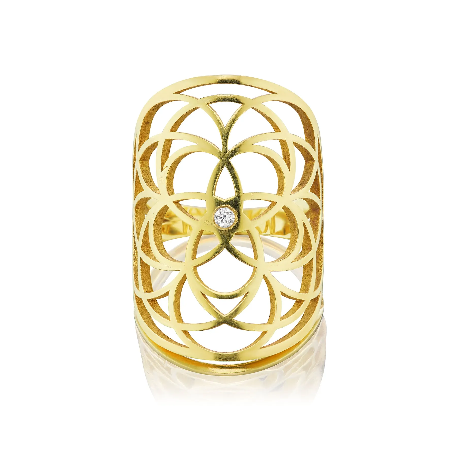 Guardian Shield Ring