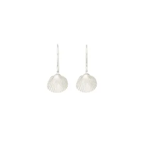 Small Sun Shell Silver Earrings
