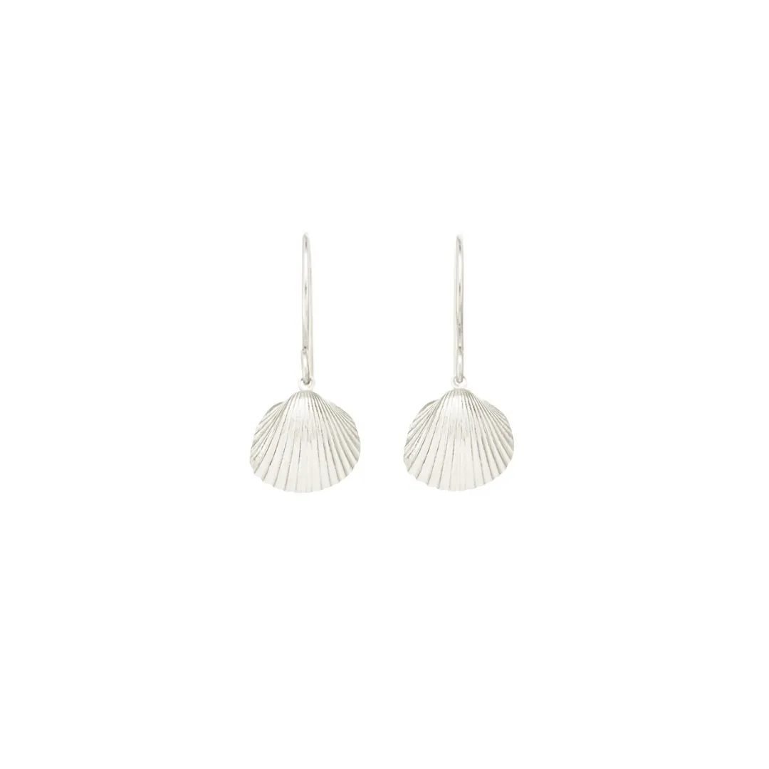 Small Sun Shell Silver Earrings