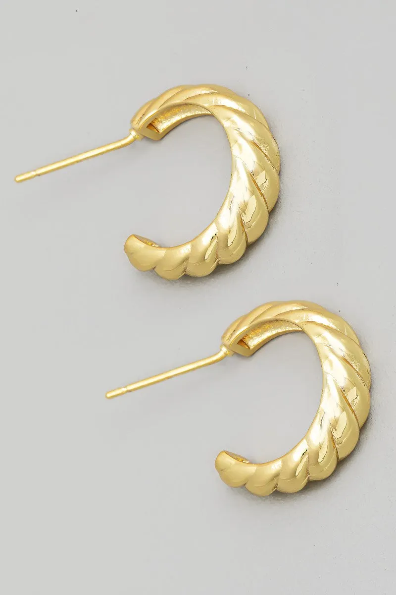 Twisted Hoop Earrings - 2 Colors
