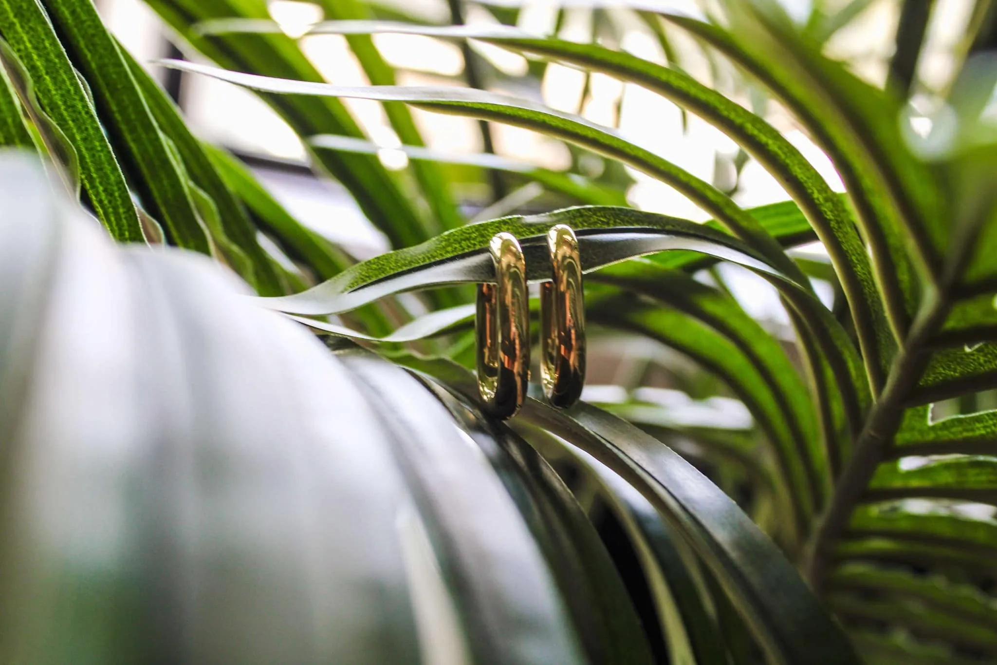 Waterproof Oval Hoop Earrings